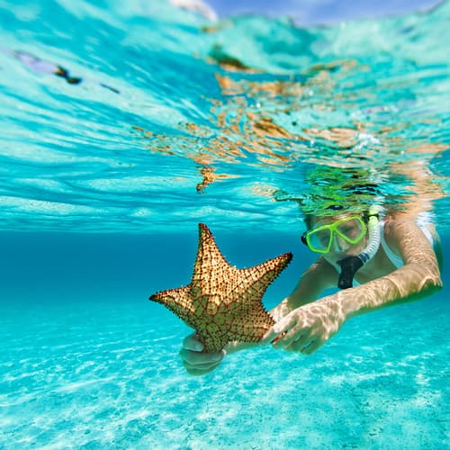 Traveler practicing snorkeling and holding a starfish
